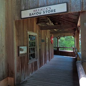 Louisiana Swamp - Themed Architecture