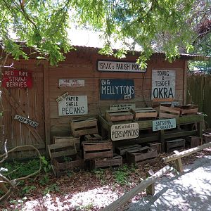 Louisiana Swamp - Themed Architecture