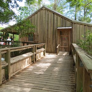 Louisiana Swamp - Pelican's Nest Education Building