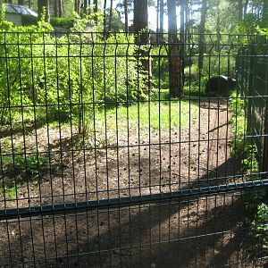 Riga Zoo - Cassowary exhibit