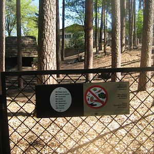 Riga Zoo - Petting zoo - Cattle exhibit