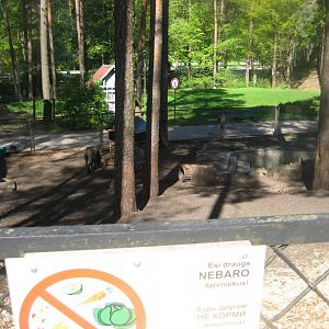 Riga Zoo - Petting zoo - Donkey exhibit