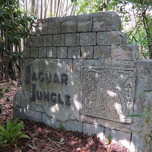 Jaguar Jungle - Sign