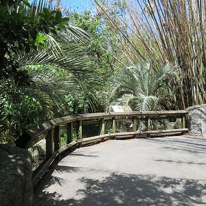 Jaguar Jungle - Maguari Stork Exhibit Viewing Area