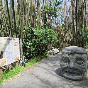 Jaguar Jungle - Path