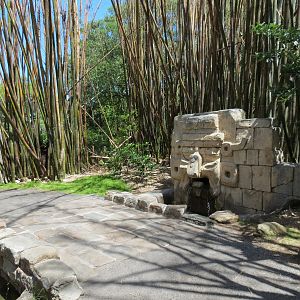 Jaguar Jungle - Path