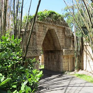 Jaguar Jungle - Path Archway