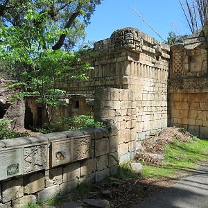 Jaguar Jungle - Giant Anteater, Hoffman's Sloth, and St. Vincent Agouti Exhibit