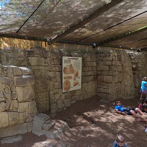 Jaguar Jungle - Dig Play Area