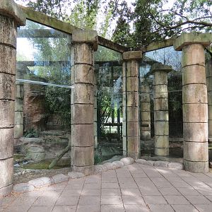 Jaguar Jungle - Jaguar Exhibit