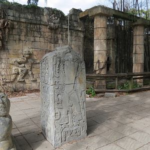 Jaguar Jungle - Jaguar Exhibit