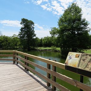 South America Pampas - Viewing Deck