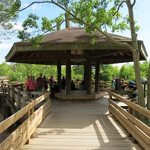 South America Pampas - Viewing Deck