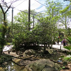Audubon Aviary - Interior