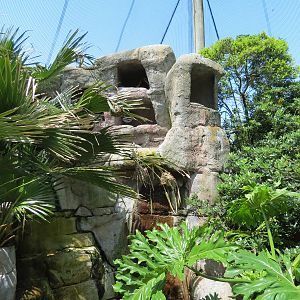 Audubon Aviary - Interior