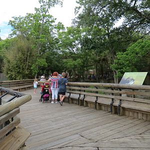 Asian Domain - Walkway Deck