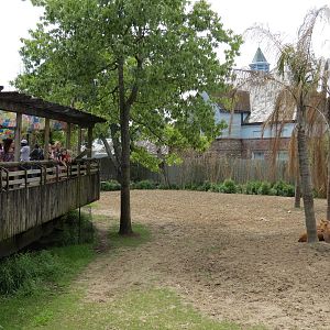 Asian Domain - Barasingha and Bar-headed Goose Exhibit
