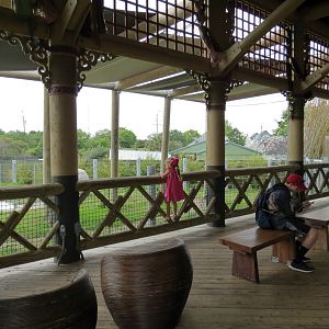 Asian Domain - Asian Elephant Exhibit Viewing Pavilion