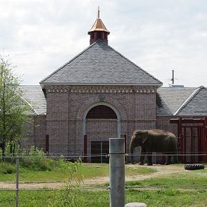 Asian Domain - Asian Elephant Exhibit