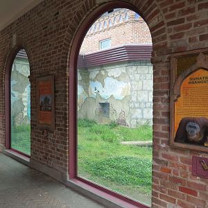 Asian Domain - Sumatran Orangutan Exhibit