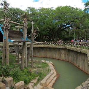 Asian Domain - Sumatran Orangutan Exhibit