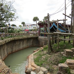 Asian Domain - Sumatran Orangutan Exhibit