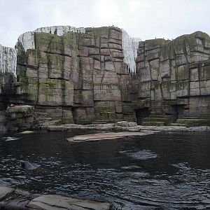 Sealion & Walrus pool - Eismeer