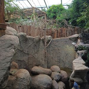 Hyrax Enclosure - Aquarium
