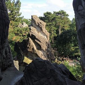 Tahr Mountain - African Vista