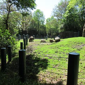 Assam Rhino Reserve (old elephant enclosure)