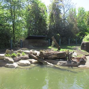 Assam Rhino Reserve (old elephant enclosure)