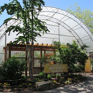 Butterfly Garden (seasonal)