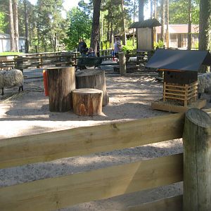 Riga Zoo - Petting zoo - Sheep exhibit