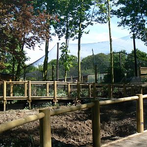 View of Warty Pig Enclosure/ Flamingo Aviary - 13 May 2018