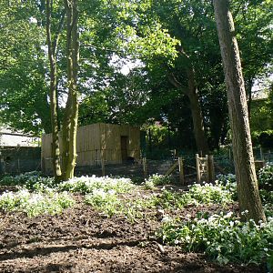 View towards Visayan Warty Pig house - 13 May 2018