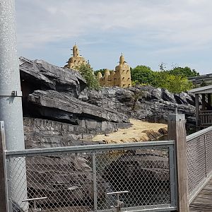 South-american fur seal enclosure