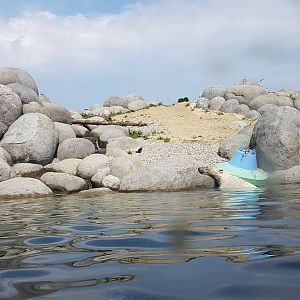 Polar bear enclosure