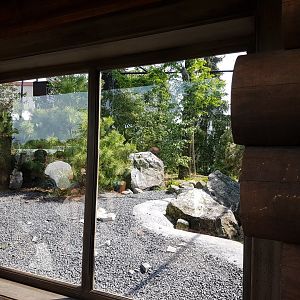 Viewing-window Owl-aviary