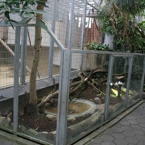 turtle enclosure next to one of the indoor orangutan enclosures
