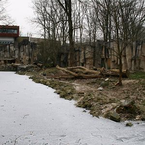 white lion enclosure