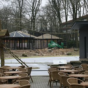 new American flamingo exhibit under constuction