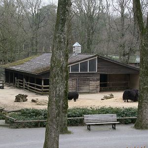 Yak enclosure