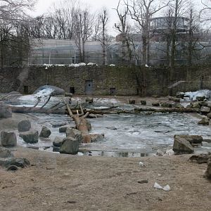 Polar bear exhibit