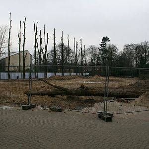 building site for the new Bonobo exhibit