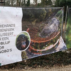 Impression of the new Bonobo exhibit