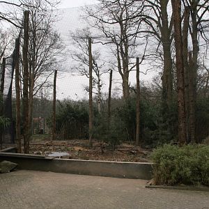 new avairy under constuction