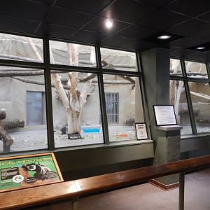 4/17/2018 - Newly Renovated Colobus Monkey Exhibit