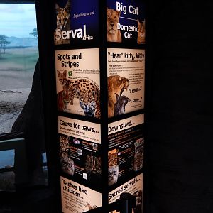 4/17/2018 - New Small & Domestic Cat Signage