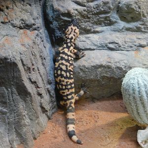 4/17/2018 - The Long Trek Begins...