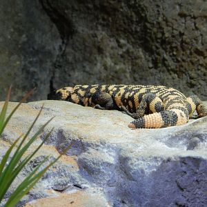 4/17/2018 - Whew, Made It!